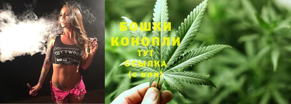 сатива Дмитров