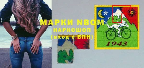 сатива Дмитров