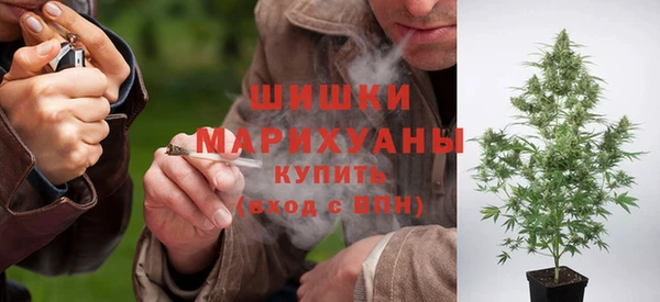 сатива Дмитров